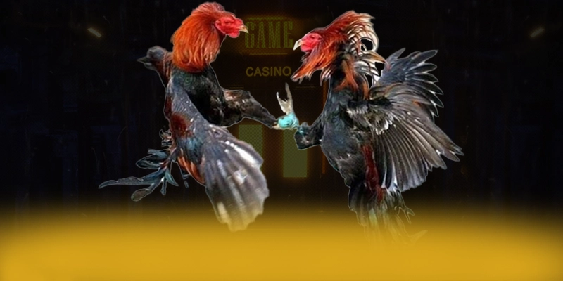 KUWIN - Thương hiệu mang đến thế giới game đa dạng được đánh giá cao – Khám phá KUWIN KUWIN - Thương hiệu mang đến thế giới game đa dạng được đánh giá cao – Khám phá KUWIN