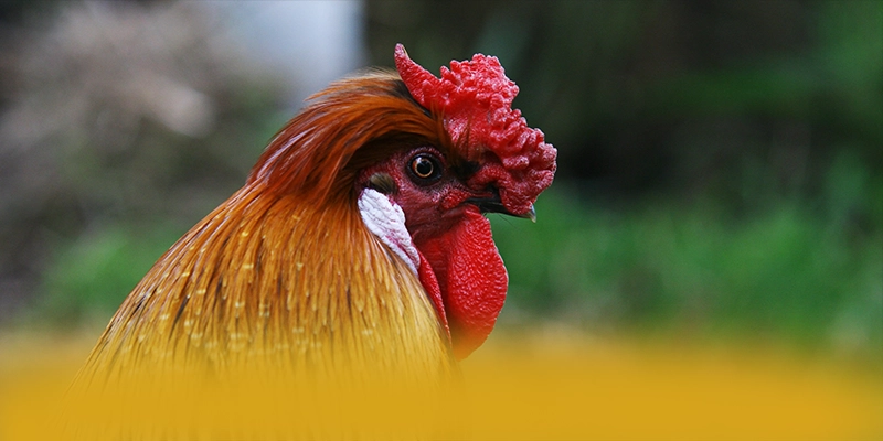 Điểm nổi bật tại AU88 - Nhà cái an toàn tuyệt đối được cộng đồng đánh giá cao
Điểm nổi bật tại AU88 - Nhà cái an toàn tuyệt đối được cộng đồng đánh giá cao