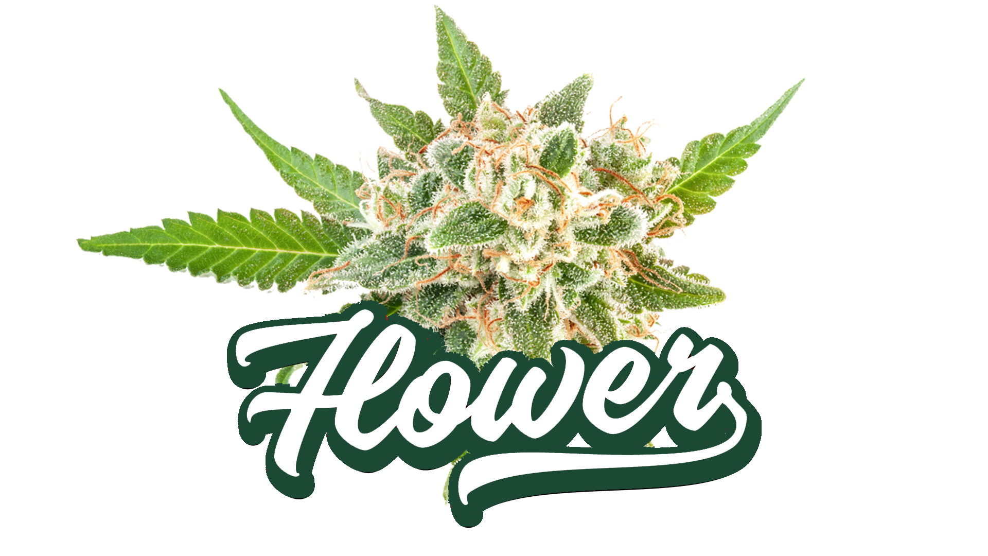flower-img (1)